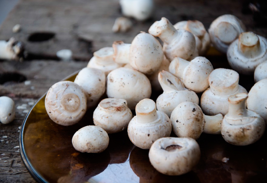 Venta de Champignones